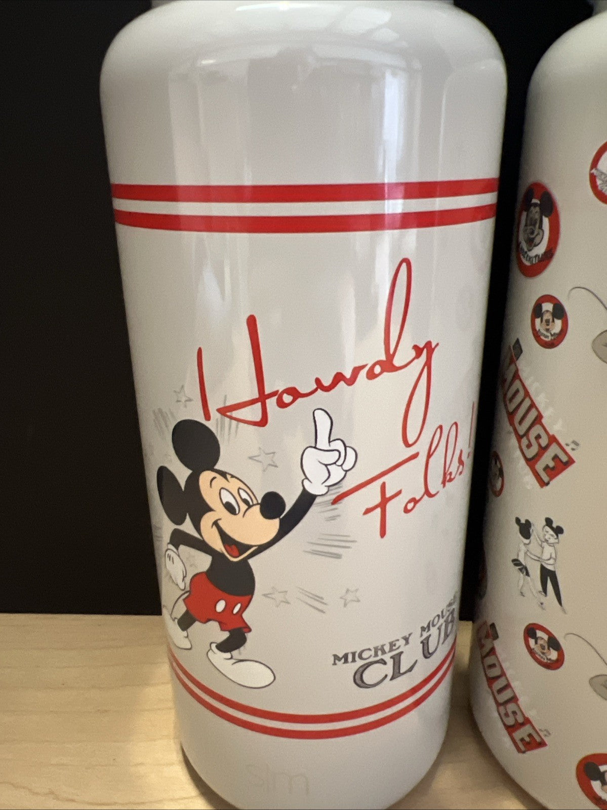 2pk MICKEY MOUSE Insulated Water Bottle W/Straw Lid Simple Modern 32 Oz GRAY