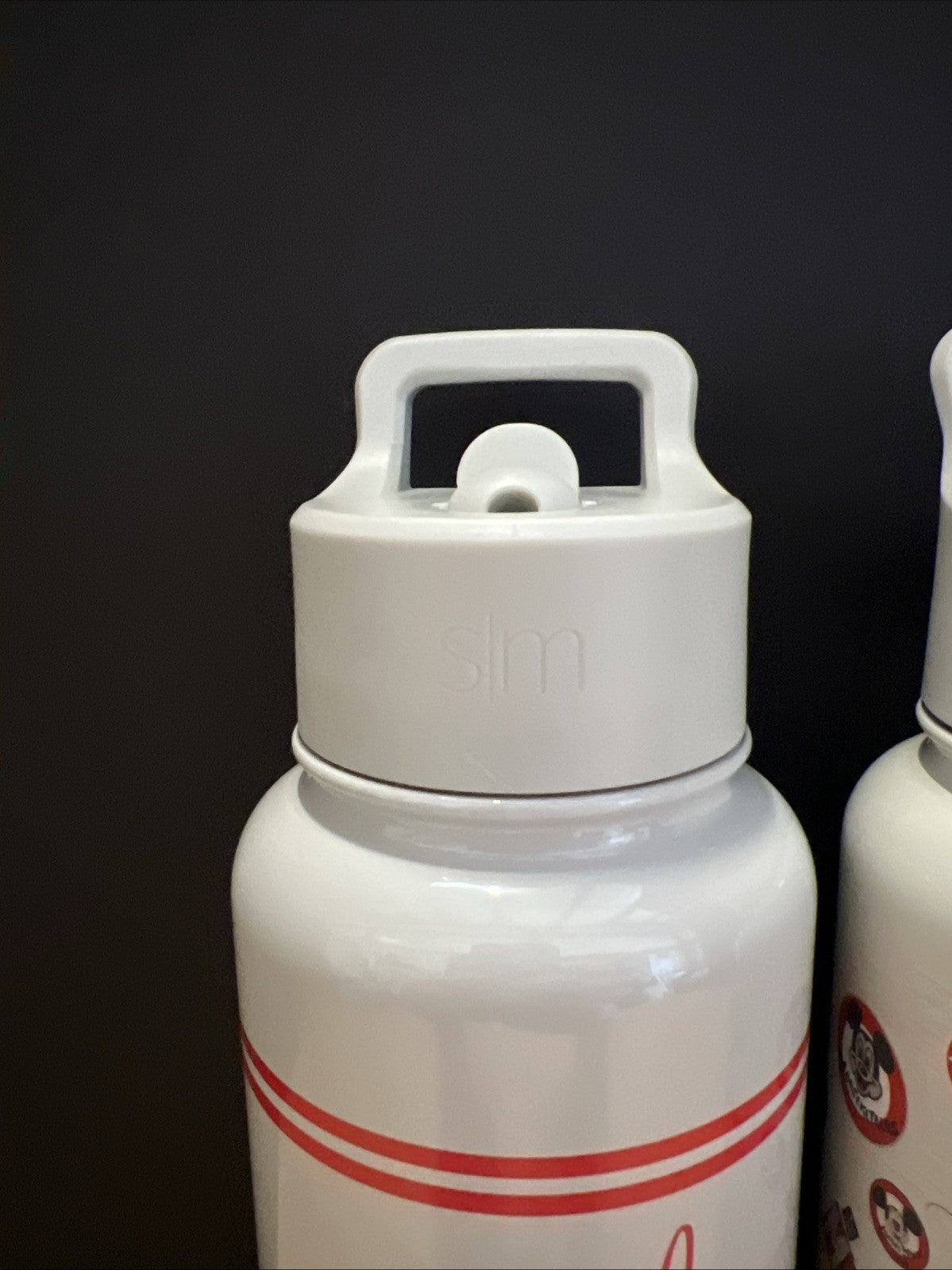 2pk MICKEY MOUSE Insulated Water Bottle W/Straw Lid Simple Modern 32 Oz GRAY