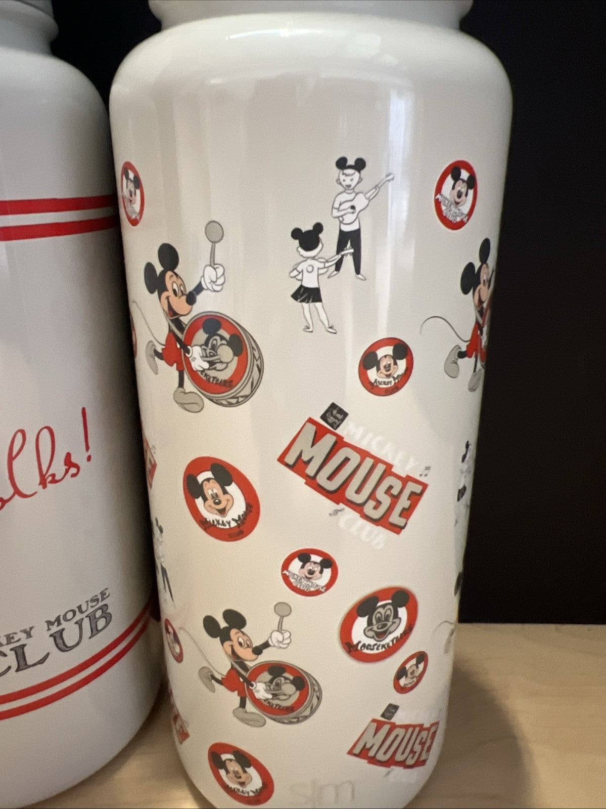 2pk MICKEY MOUSE Insulated Water Bottle W/Straw Lid Simple Modern 32 Oz GRAY
